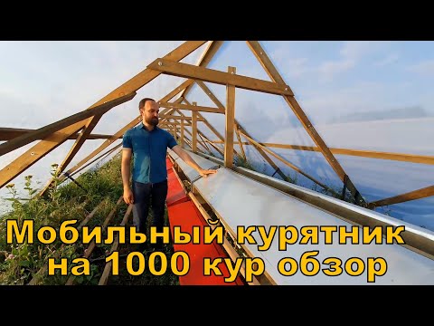 Видео: Мобильный курятник на 1000 кур - новая модель