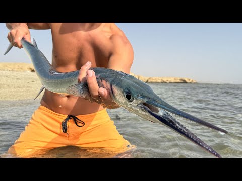 Видео: Рыбалка в Египте! Такого САРГАНА вы еще НЕ ловили!!!