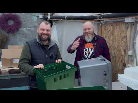 Видео: Выращиваете тюльпаны?! Тогда мы едем к вам!