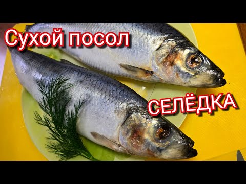 Видео: В чём секрет вкусной селёдки? Наш рецепт!
