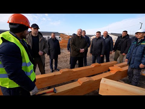 Видео: Лукашенко на ферме: Юра, катастрофически тяжёлый для тебя будет год!
