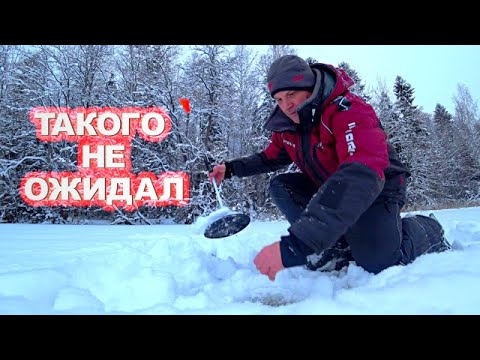Видео: Два дня один на лесном озере. Рыбалка на жерлицы и мормышку 2025. Подводная съёмка.