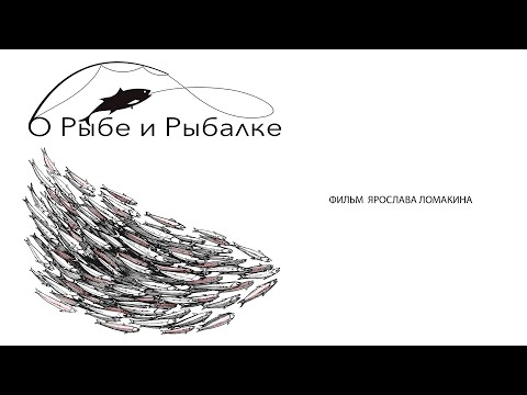 Видео: "О РЫБЕ И РЫБАЛКЕ"  документальный фильм.