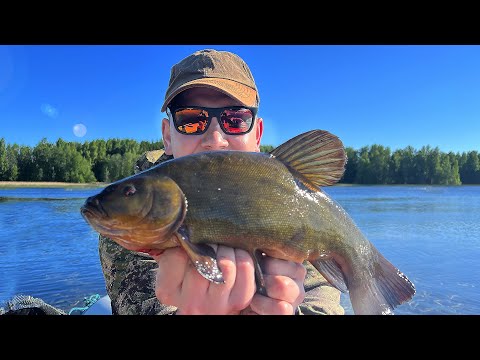 Видео: Ловля линя и леща летом на поплавок | Крупняк обрывает крючки
