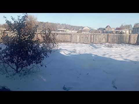 Видео: Их в германию провожали хорошо.теперь ненависть.