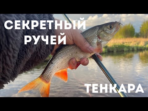 Видео: ТЕНКАРА x НОВЫЙ СЕКРЕТНЫЙ РУЧЕЙ #121