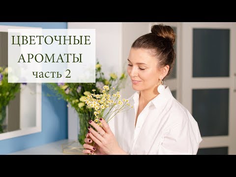 Видео: Цветочные ароматы, продолжение 💐