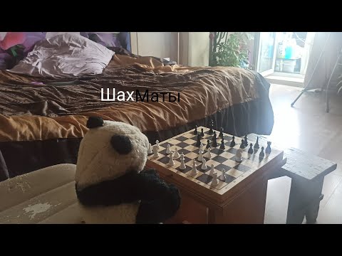 Видео: Правдивая История. Шахматная партия Панда(:  vs  Николай