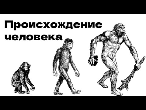 Видео: Происхождение человека | История, но не как в школе | Первобытность