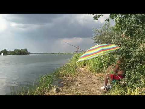 Видео: Рыбалка на Днестре! Лещ и карась.
