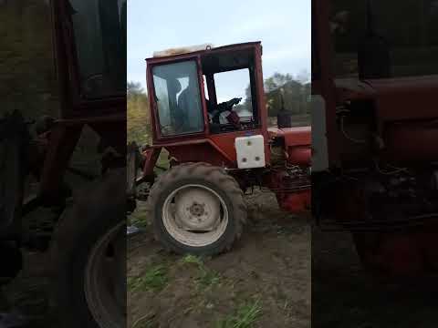 Видео: 7 октября 2023 г.