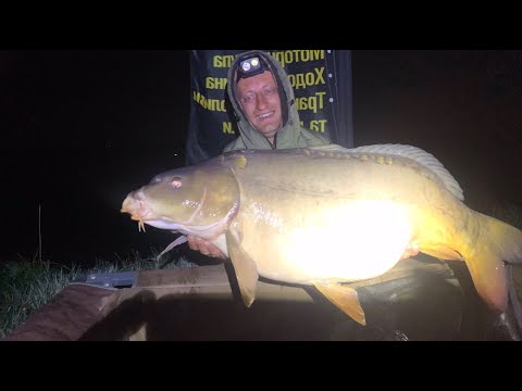 Видео: Ловля Великих КОРОПІВ та АМУРІВ | Водойма Прилбичі