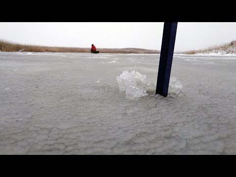 Видео: ОПАСНЫЙ ПЕРВЫЙ ЛЕД 22-23! Рыбалка на мормышку, ловля окуня и плотвы по первому льду