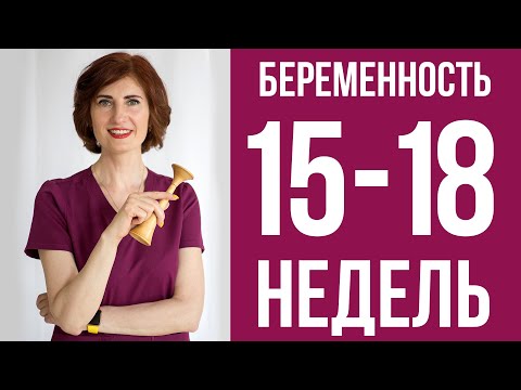 Видео: Второй триместр беременности: что происходит в 15-18 недель?