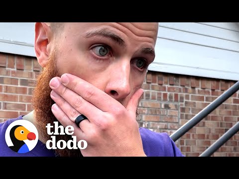 Видео: Жена продолжает удивлять мужа спасёнными животными | The Dodo