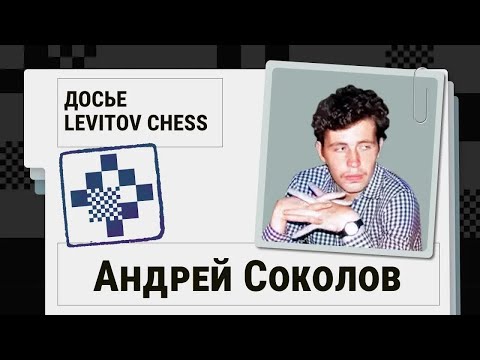 Видео: Андрей Соколов