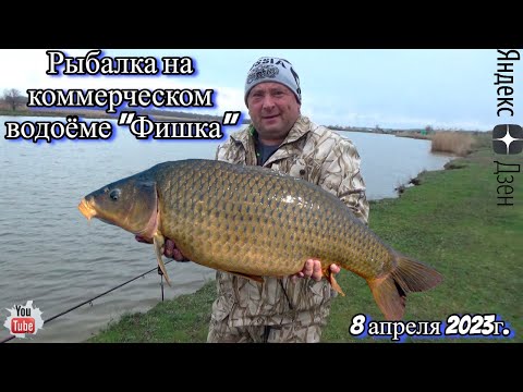 Видео: Рыбалка на коммерческом водоёме "Фишка" 8 апреля 2023г. Рыбалка Санчаса...