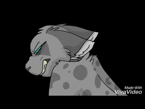 Видео: Остролистая-Hollyleaf[Cats Warriors-Коты Воители (Halsey-Control)]
