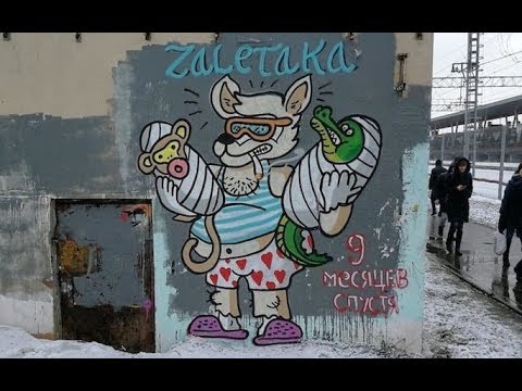 Видео: РОСТОКИНО СОБАКА ЗАБИВАКА (ЗАЛЕТАКА ЗАБЛЕВАКА ГРАФФИТИ)
