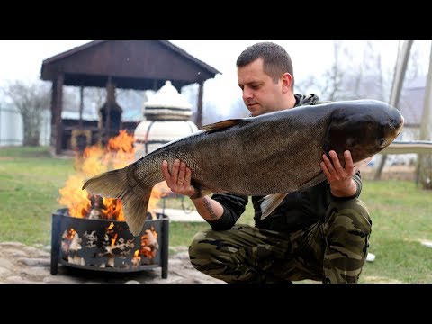 Видео: ТОЛСТОЛОБИК 18КГ. РЫБА ЗАПЕЧЕННАЯ В УГЛЯХ