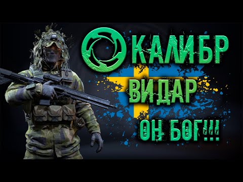 Видео: Калибр ● Видар - он БОГ!!! ● Обзор оперативника!