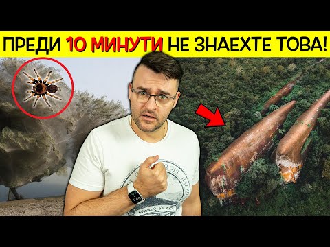 Видео: 11 НЕОБИКНОВЕНИ НЕЩА, които НЕ ЗНАЕХТЕ допреди 10 минути