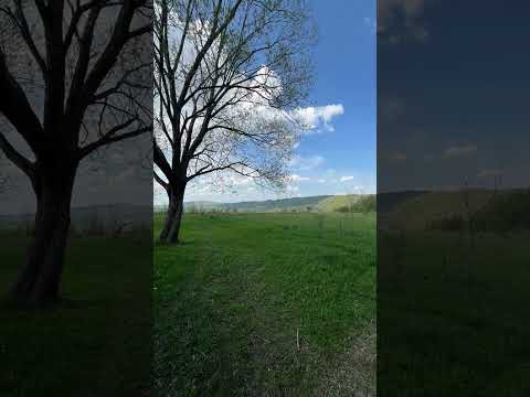 Видео: 7 листопада 2025 р.