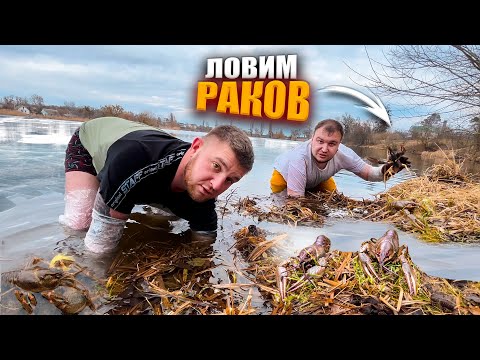 Видео: ЛОВЛЮ РАКОВ РУКАМИ В ЛЕДЯНОЙ ВОДЕ