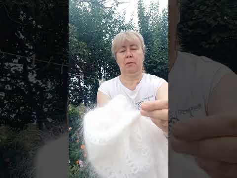 Видео: 6 октября 2025 г.