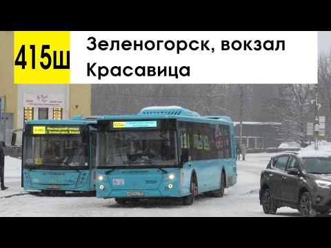 Видео: Автобус 415ш "Зеленогорск, вокзал - Красавица"