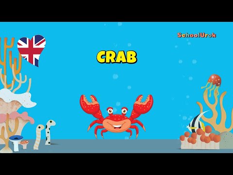 Видео: Морські тварини англійською для дітей