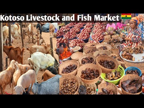 Видео: Сельский рынок в африканской деревне в Африке, Гана, Котосо#африка#сельскаяжизнь#Гана#сельский#ко...