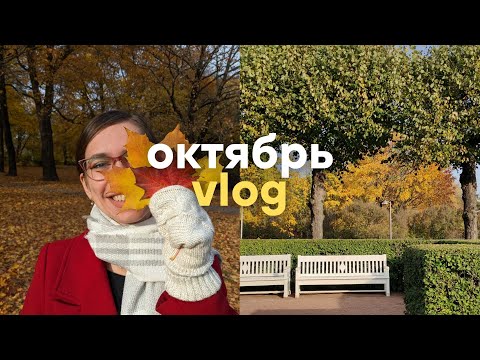 Видео: Октябрь'24 | Золотая осень в Финляндии 🇫🇮