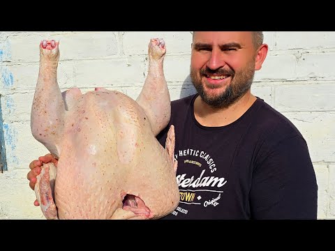 Видео: Какой вес у этих 5ти месячных великанов?)