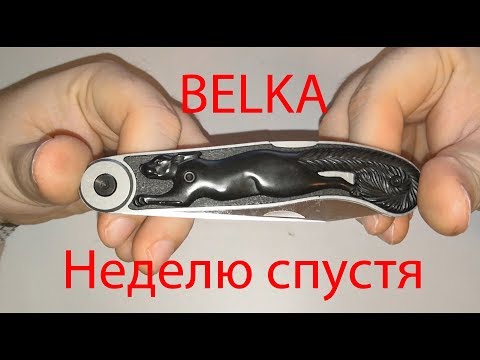 Видео: Belka неделю спустя. Разбор полётов.