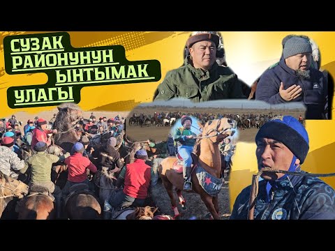 Видео: Бишкек/ Дача Су/ Сузак районунун ынтымак улагы.