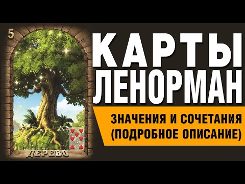 Видео: Карты Ленорман. Карта Дерево (05). Значения и сочетания карт.