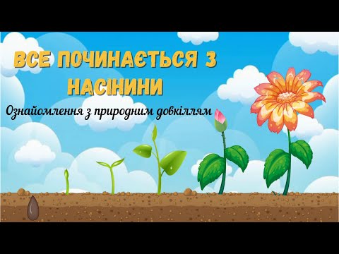 Видео: Все починається з насінини 🌱Як рослина розвивається🪴 Ознайомлення з природним довкіллям✨