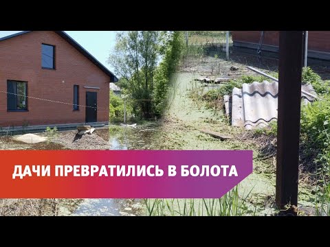Видео: Вода так и не ушла из СНТ «Садовод» поселка Берды. Почему?