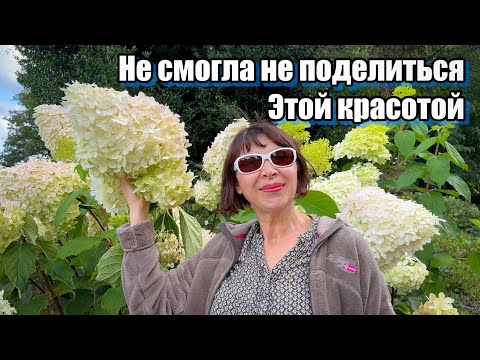 Видео: Vlog 506 - Сад Wisley в начале осени - магия красок 🌻🌺🌼🌾🌸