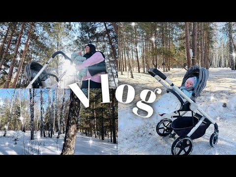 Видео: КУПИЛА НОВУЮ КОЛЯСКУ ДЛЯ КУКЛЫ РЕБОРН🌟 | ПРОГУЛКА С РЕБОРНОМ АЛЛОЙ💖