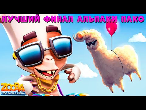 Видео: ФИНАЛОЧКА РЕЙТИНГА!!! ЛУЧШИЙ БОЙ ЗА АЛЬПАКУ ПАКО В КОНЦЕ ВИДЕО В ИГРЕ ZOOBA