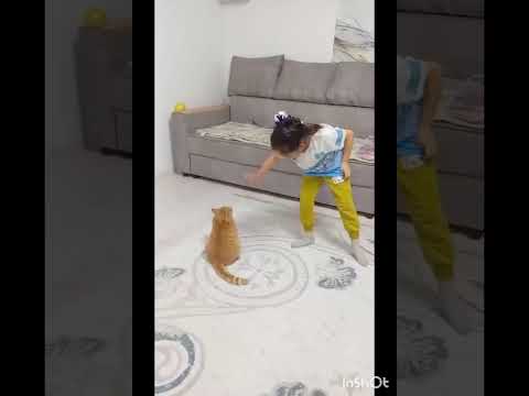 Видео: "Жануарлар біздің достарымыз" акциясы