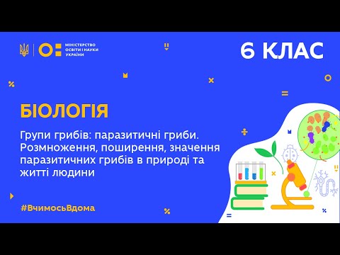 Видео: 6 клас. Біологія. Групи грибів: паразитичні гриби (Тиж.9:ЧТ)