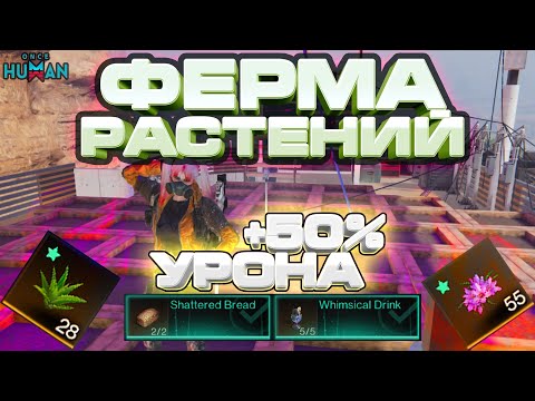 Видео: ФЕРМА РАСТЕНИЙ DEVIATED | ФАРМИ РАСТЕНИЯ ДЛЯ БАФОВ | ГАЙД #9 | ONCE HUMAN FERTILIZER FOR FOOD BUFFS