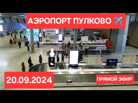 Видео: 🔥БУГУН  20.09.2024 САНКТ-ПЕТЕРБУРГ 🇷🇺🇺🇿 АЭРОПОРТ ПУЛКОВО УЗБЕКИСТАН КЕТИШ🧳 ХОЛАТЛАР АВИАБИЛЕТЛАР 👍👍👍