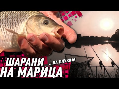 Видео: За ШАРАНИ на р. МАРИЦА