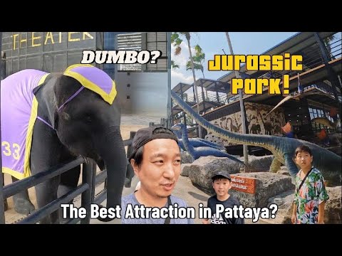 Видео: Паттаяад энийг заавал үзээрэй! | Маш том Ботаникийн Хүрээлэнгээр аялав.