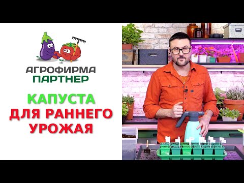 Видео: КАПУСТА ДЛЯ РАННЕГО УРОЖАЯ