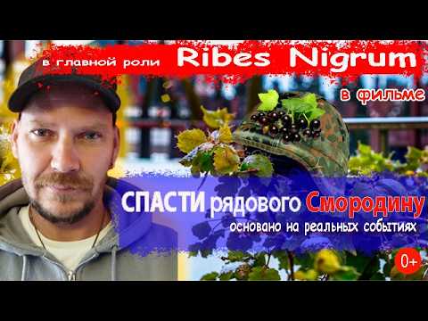 Видео: 🏠 Дачные развлечения 🌳 Работа в Саду 🧑‍🌾 Пересадка Смородины в снегу 🌲#4